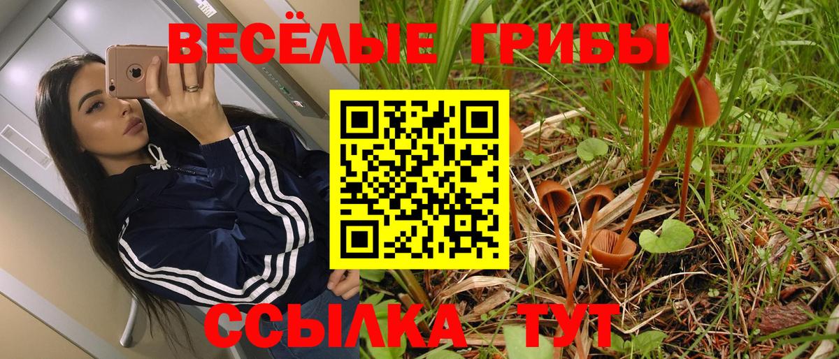 Псилоцибиновые грибы ЛСД Спасск-Дальний
